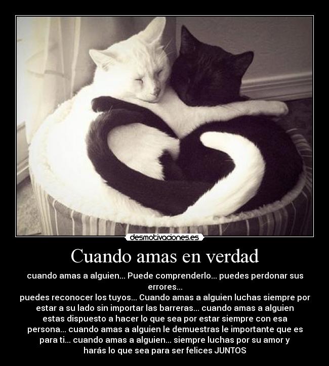 Cuando amas en verdad - cuando amas a alguien... Puede comprenderlo... puedes perdonar sus
errores...
puedes reconocer los tuyos... Cuando amas a alguien luchas siempre por
estar a su lado sin importar las barreras... cuando amas a alguien
estas dispuesto a hacer lo que sea por estar siempre con esa
persona... cuando amas a alguien le demuestras le importante que es
para ti... cuando amas a alguien... siempre luchas por su amor y
harás lo que sea para ser felices JUNTOS