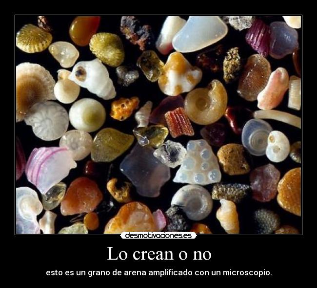 Lo crean o no - esto es un grano de arena amplificado con un microscopio.