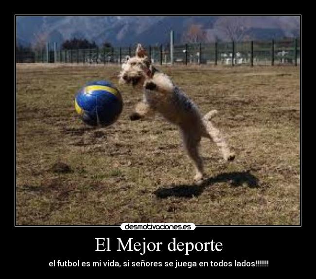 El Mejor deporte - 