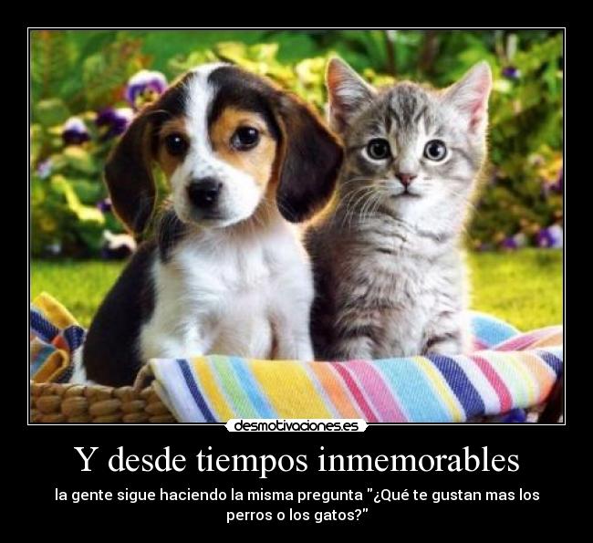 Y desde tiempos inmemorables - la gente sigue haciendo la misma pregunta ¿Qué te gustan mas los
perros o los gatos?