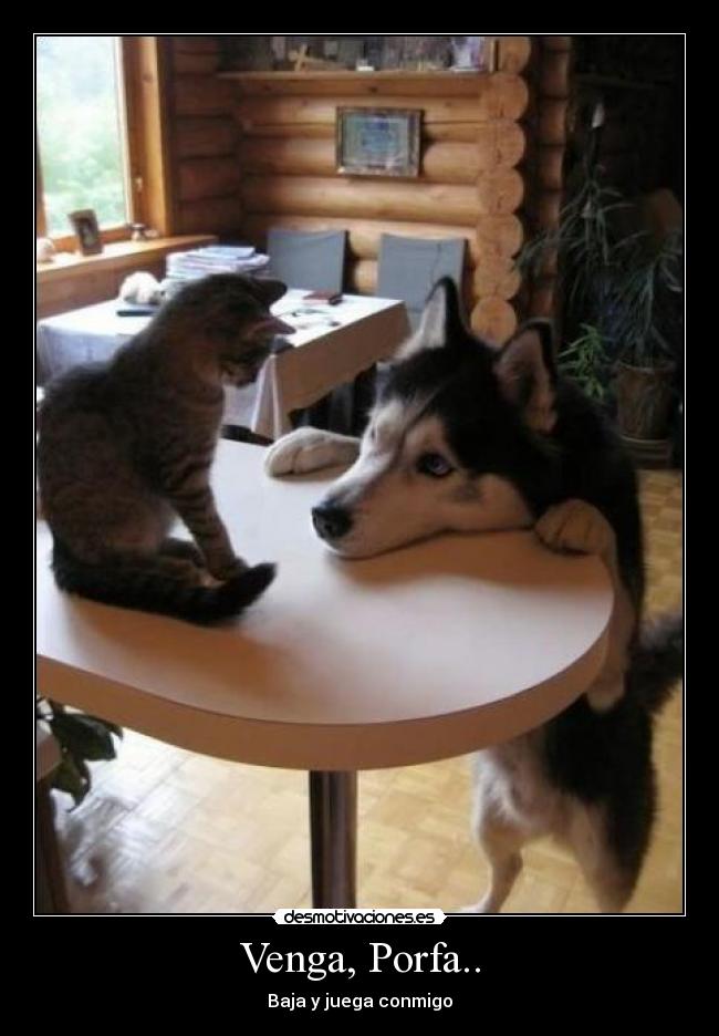 Venga, Porfa.. - Baja y juega conmigo