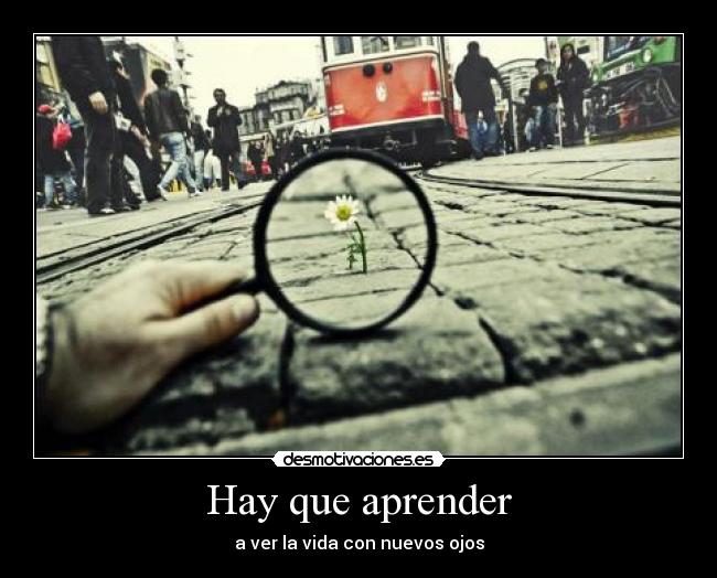 Hay que aprender - 