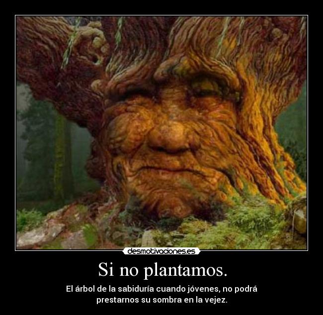 Si no plantamos. - El árbol de la sabiduría cuando jóvenes, no podrá
prestarnos su sombra en la vejez.
