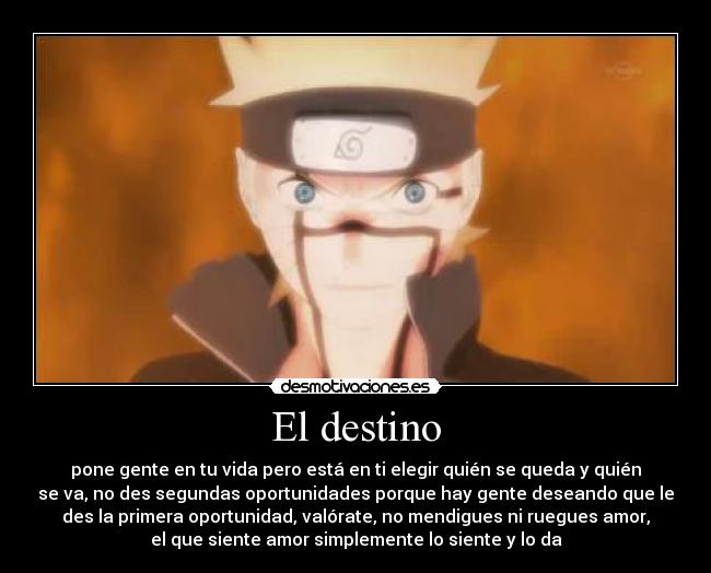 El destino - pone gente en tu vida pero está en ti elegir quién se queda y quién
se va, no des segundas oportunidades porque hay gente deseando que le
des la primera oportunidad, valórate, no mendigues ni ruegues amor,
el que siente amor simplemente lo siente y lo da