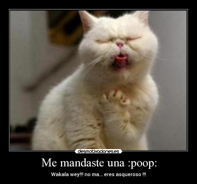 Me mandaste una :poop: - Wakala wey!!! no ma... eres asqueroso !!!