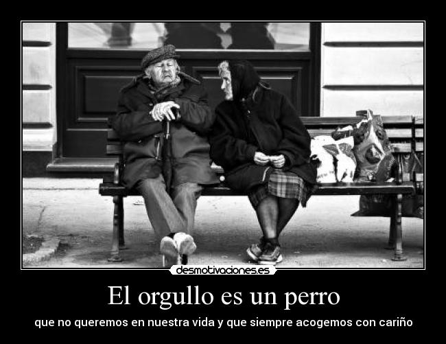 carteles orgullo perro querer vida acoger carino siempre ely desmotivaciones