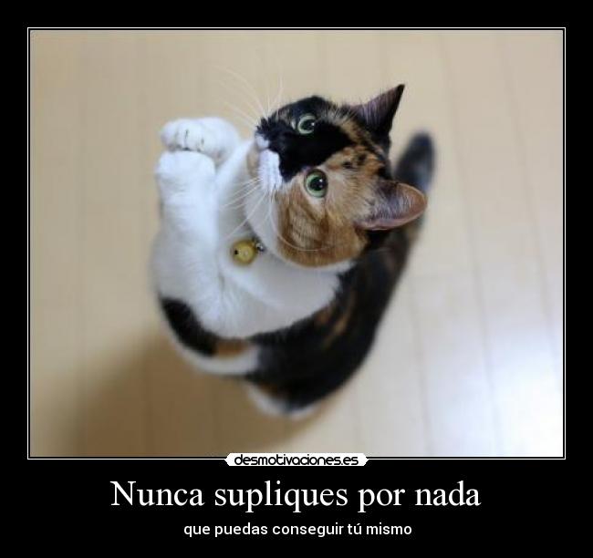 Nunca supliques por nada -