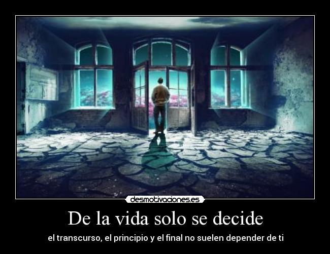 carteles vida vida solo decidir transcurso principio final depender soler ely desmotivaciones