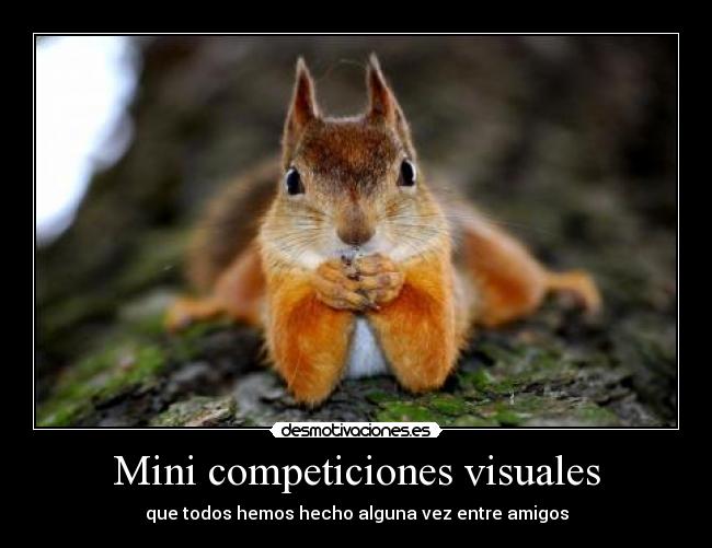 carteles entre amigo mini competicion visual todos haber hecho ely desmotivaciones