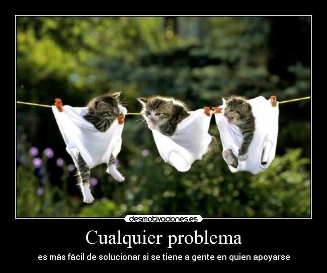 carteles problema cualquier gente apoyar facil solucionar tener ely desmotivaciones