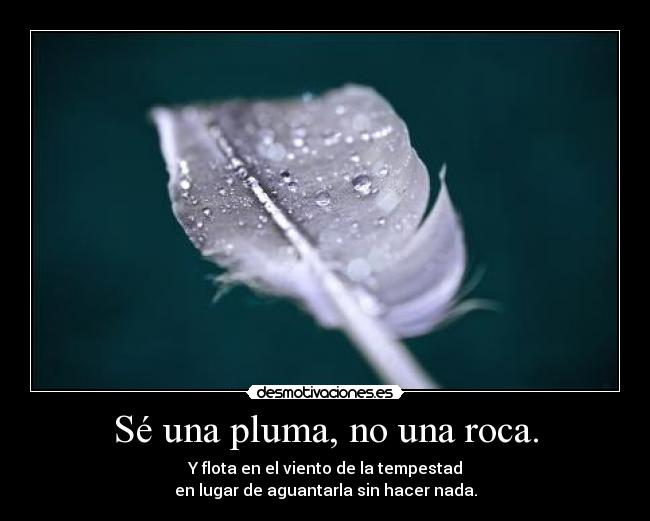 Sé una pluma, no una roca. - 