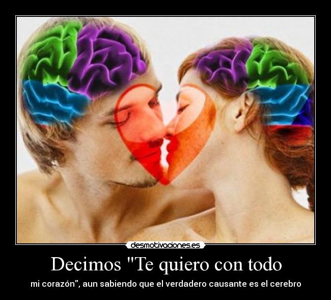 Decimos Te quiero con todo - mi corazón, aun sabiendo que el verdadero causante es el cerebro