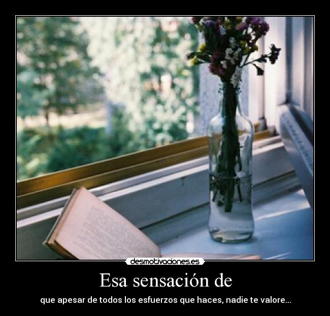 Esa sensación de - que apesar de todos los esfuerzos que haces, nadie te valore...