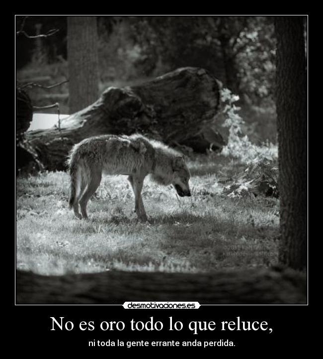No es oro todo lo que reluce, -