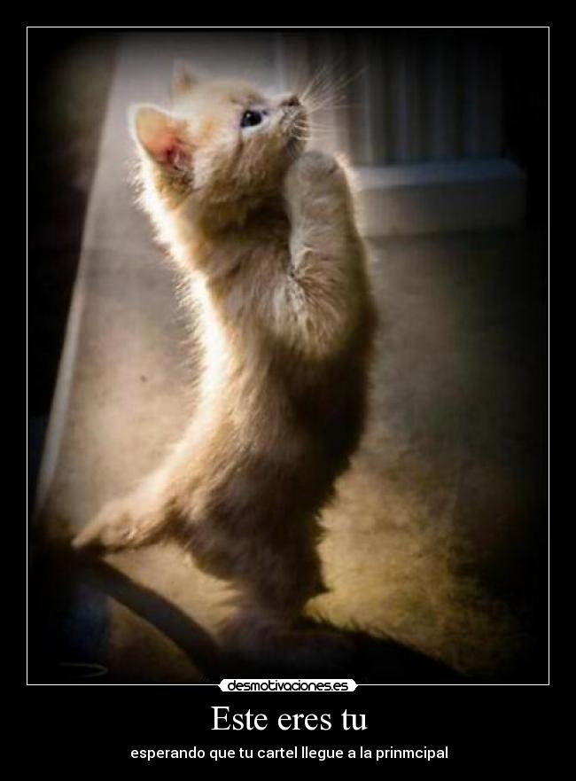 Este eres tu - esperando que tu cartel llegue a la prinmcipal