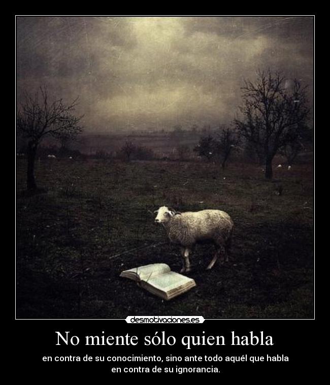 carteles esta tierna criatura mas inteligente que tu rescataran si mismos desmotivaciones