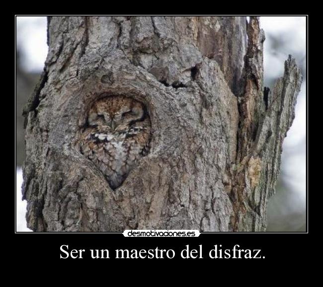 Ser un maestro del disfraz. - 