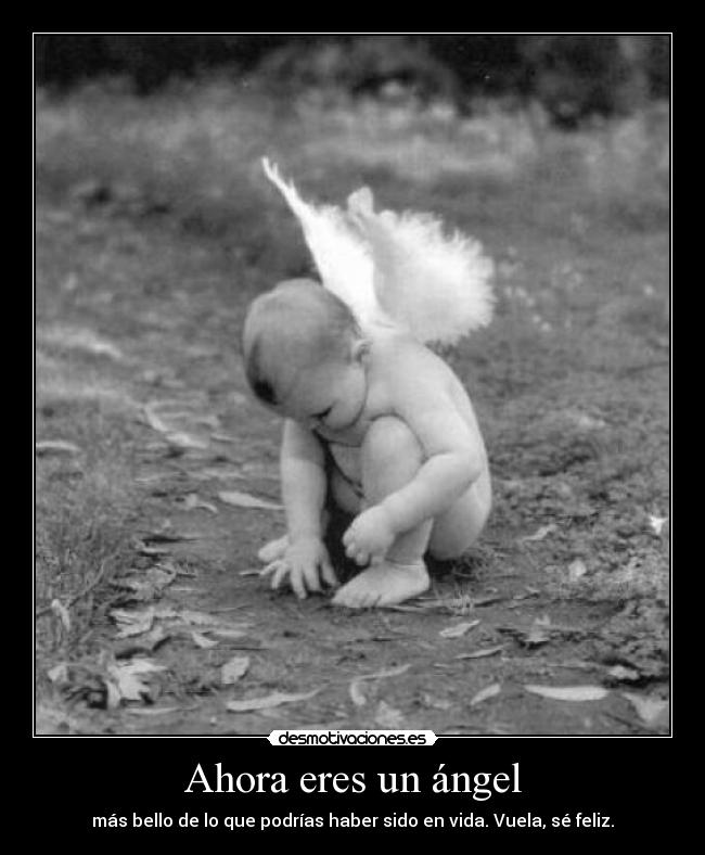 Ahora eres un ángel - más bello de lo que podrías haber sido en vida. Vuela, sé feliz.