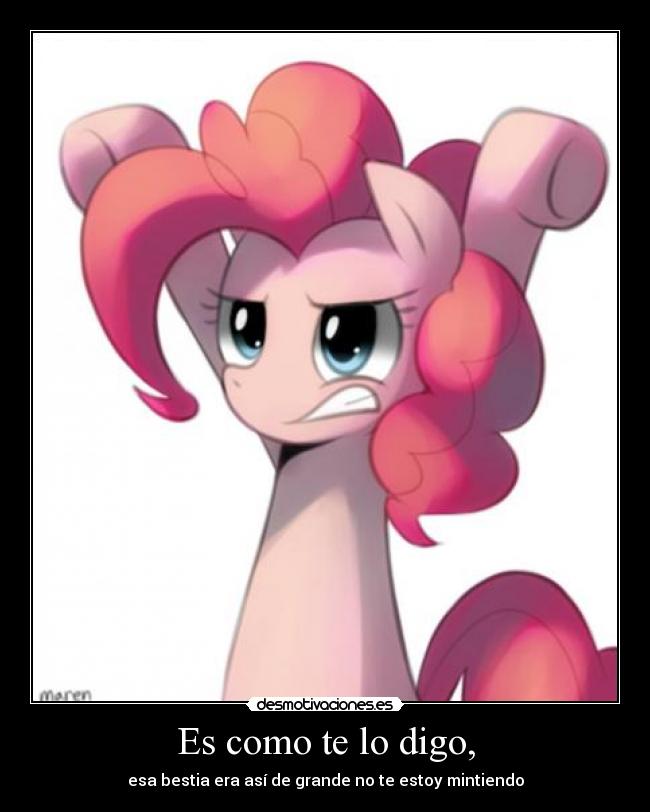 carteles bloodwolf cartel ponis bestias pinkiepie clanbloodwolf parece mas cartel profesorcaos desmotivaciones