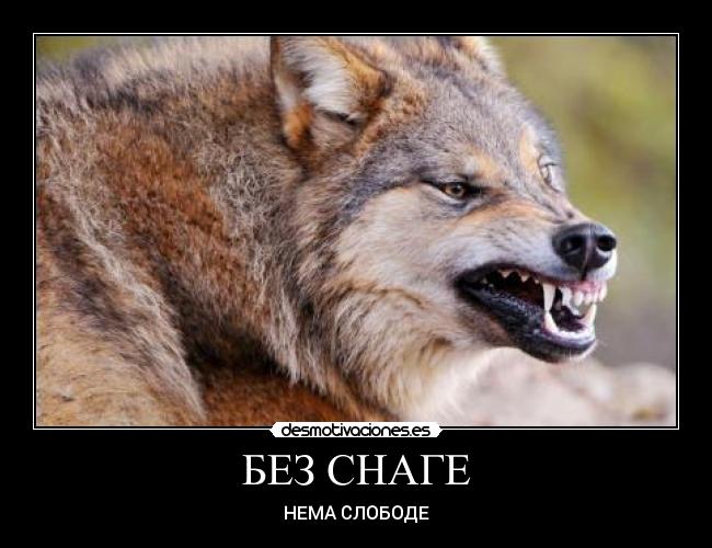 БЕЗ СНАГЕ -