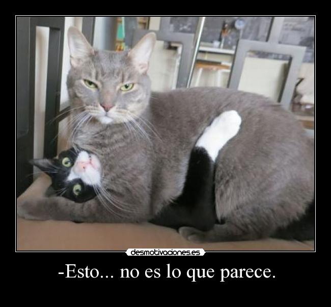 carteles jijij desmotivaciones