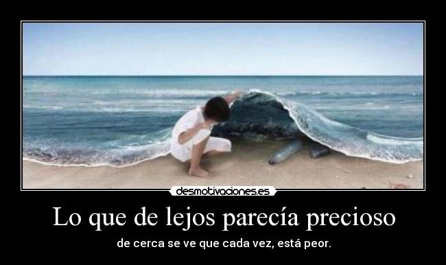 Lo que de lejos parecía precioso -