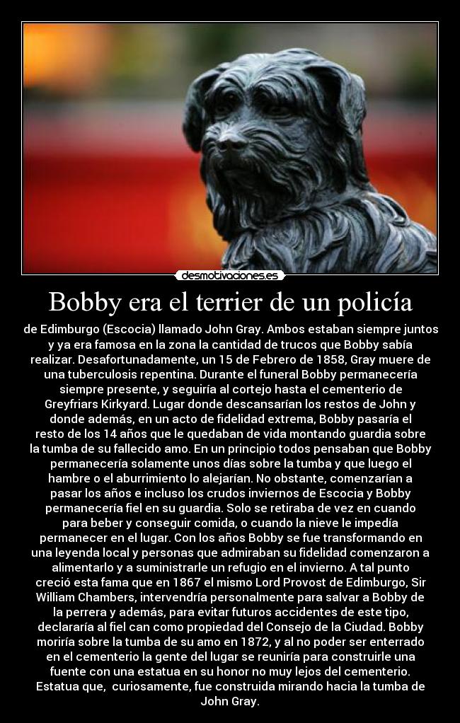 Bobby era el terrier de un policía - de Edimburgo (Escocia) llamado John Gray. Ambos estaban siempre juntos
y ya era famosa en la zona la cantidad de trucos que Bobby sabía
realizar. Desafortunadamente, un 15 de Febrero de 1858, Gray muere de
una tuberculosis repentina. Durante el funeral Bobby permanecería
siempre presente, y seguiría al cortejo hasta el cementerio de
Greyfriars Kirkyard. Lugar donde descansarían los restos de John y
donde además, en un acto de fidelidad extrema, Bobby pasaría el
resto de los 14 años que le quedaban de vida montando guardia sobre
la tumba de su fallecido amo. En un principio todos pensaban que Bobby
permanecería solamente unos días sobre la tumba y que luego el
hambre o el aburrimiento lo alejarían. No obstante, comenzarían a
pasar los años e incluso los crudos inviernos de Escocia y Bobby
permanecería fiel en su guardia. Solo se retiraba de vez en cuando
para beber y conseguir comida, o cuando la nieve le impedía
permanecer en el lugar. Con los años Bobby se fue transformando en
una leyenda local y personas que admiraban su fidelidad comenzaron a
alimentarlo y a suministrarle un refugio en el invierno. A tal punto
creció esta fama que en 1867 el mismo Lord Provost de Edimburgo, Sir
William Chambers, intervendría personalmente para salvar a Bobby de
la perrera y además, para evitar futuros accidentes de este tipo,
declararía al fiel can como propiedad del Consejo de la Ciudad. Bobby
moriría sobre la tumba de su amo en 1872, y al no poder ser enterrado
en el cementerio la gente del lugar se reuniría para construirle una
fuente con una estatua en su honor no muy lejos del cementerio.
Estatua que,  curiosamente, fue construida mirando hacia la tumba de
John Gray.