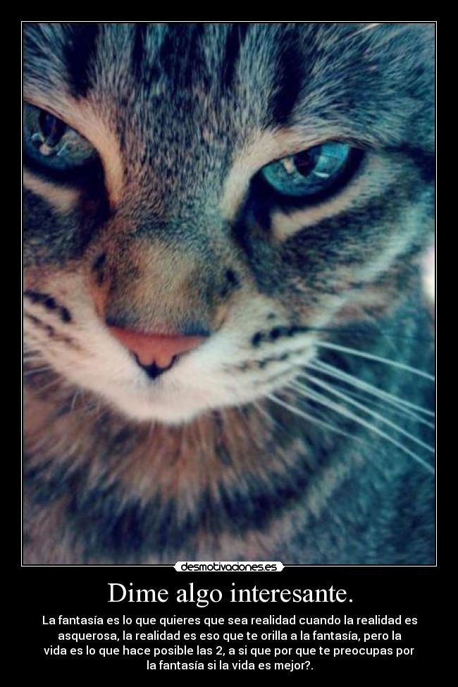 Dime algo interesante. - La fantasía es lo que quieres que sea realidad cuando la realidad es
asquerosa, la realidad es eso que te orilla a la fantasía, pero la
vida es lo que hace posible las 2, a si que por que te preocupas por
la fantasía si la vida es mejor?.