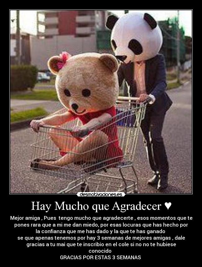 carteles mejor amiga desmotivaciones