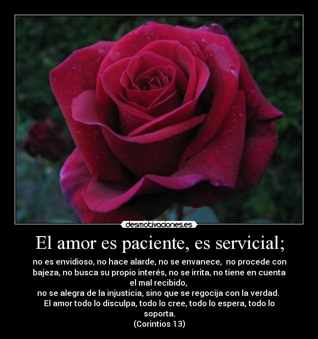 El amor es paciente, es servicial; -