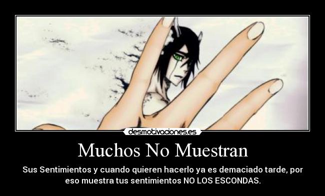 Muchos No Muestran -