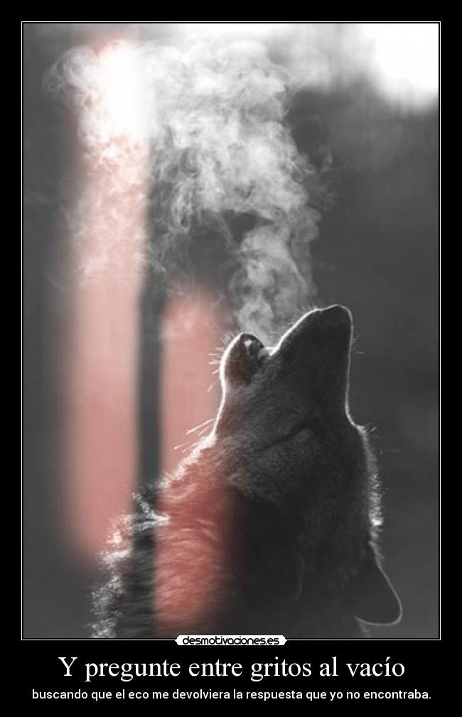 Y pregunte entre gritos al vacío - buscando que el eco me devolviera la respuesta que yo no encontraba.