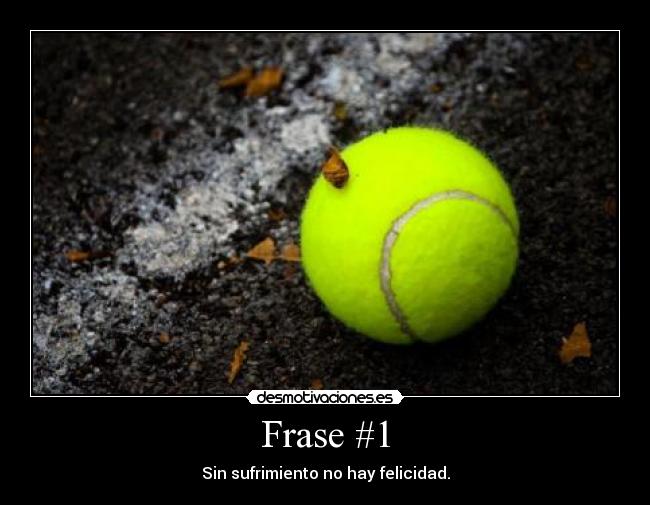 Frase #1 - Sin sufrimiento no hay felicidad.