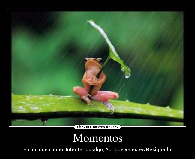 Momentos - 