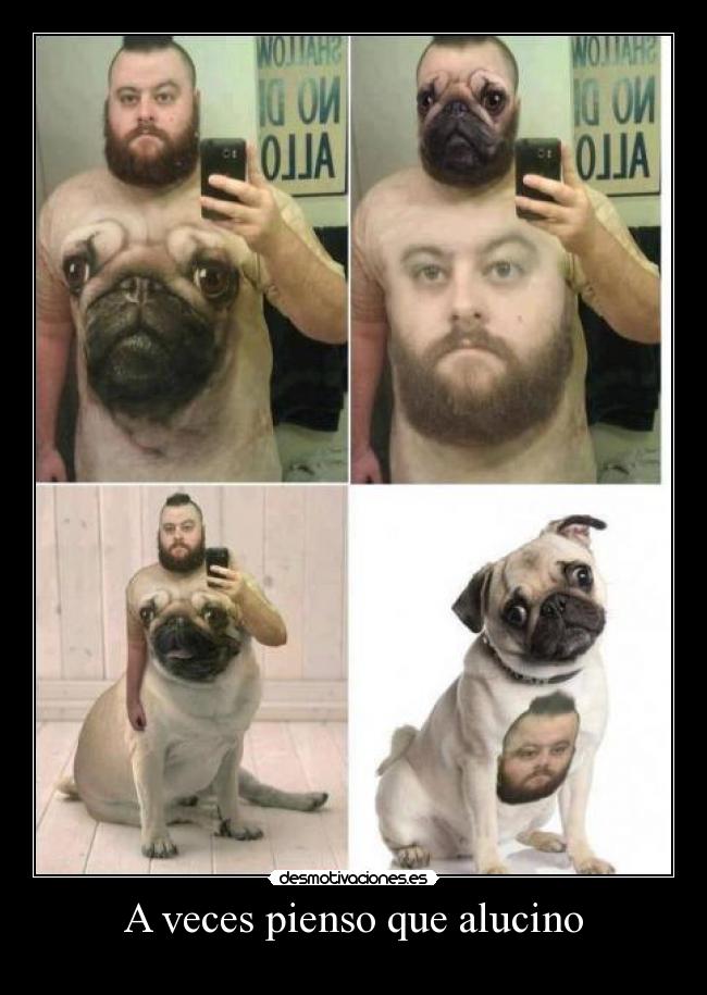 A veces pienso que alucino -