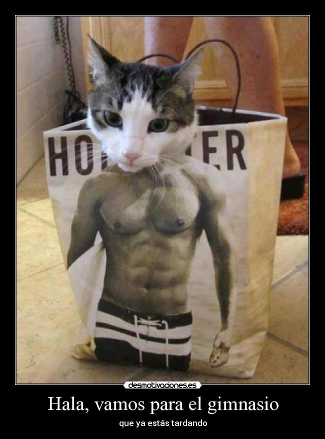 Hala, vamos para el gimnasio -