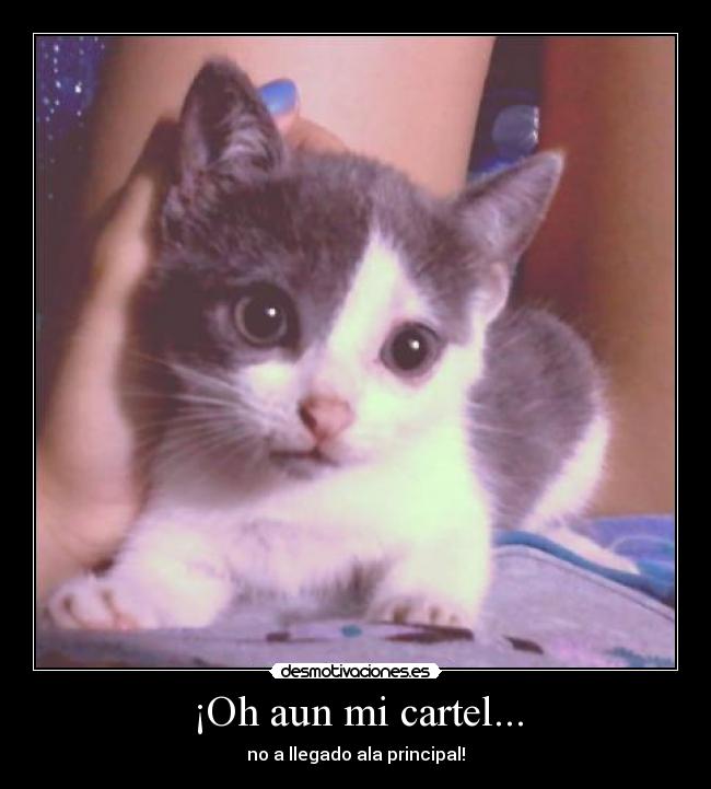 ¡Oh aun mi cartel... -