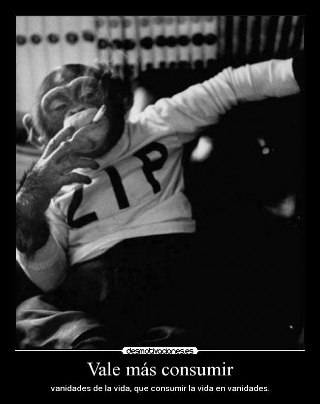Vale más consumir - vanidades de la vida, que consumir la vida en vanidades.