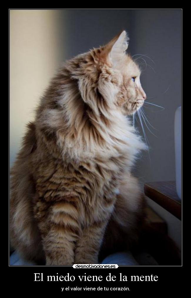 El miedo viene de la mente - y el valor viene de tu corazón.