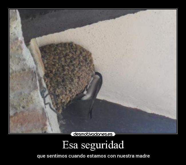 Esa seguridad -