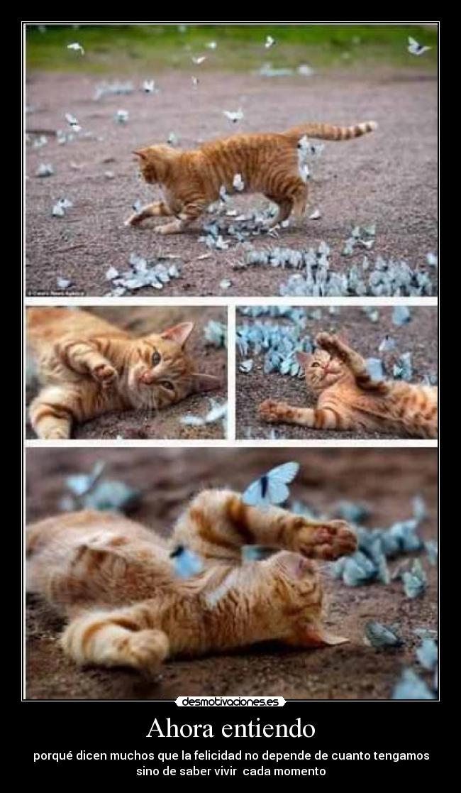 Ahora entiendo - porqué dicen muchos que la felicidad no depende de cuanto tengamos
sino de saber vivir cada momento
