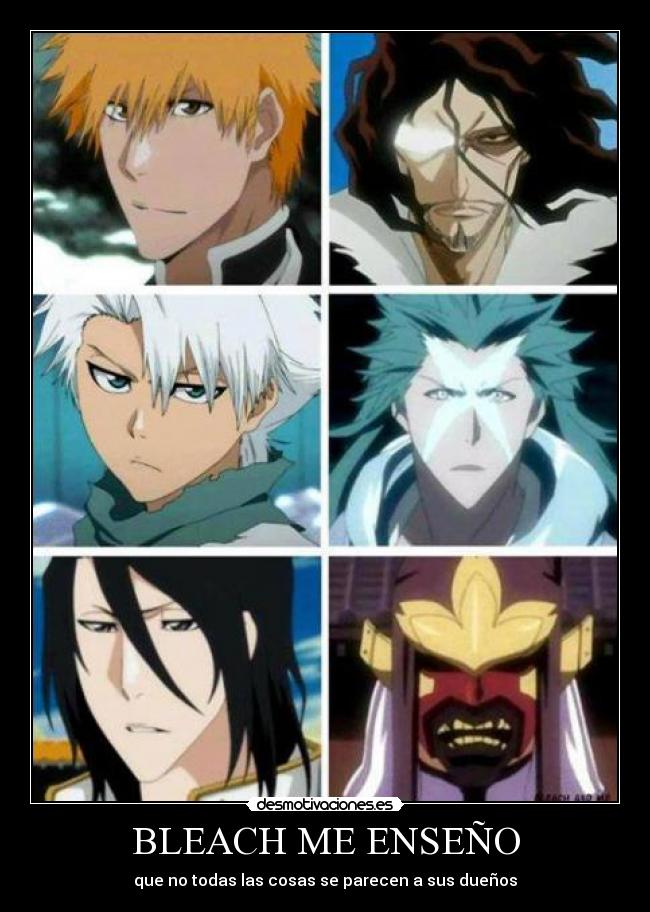 carteles bleach ichigo byakuya toshiro zampakuto senbonzakura zangetsu dragon ese anime manga desmotivaciones