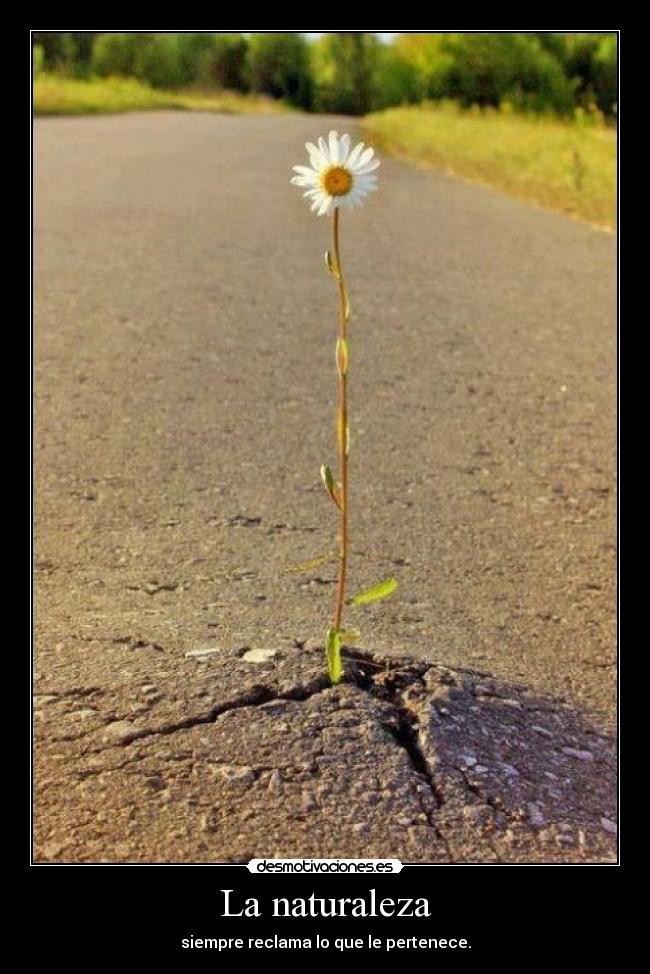 La naturaleza - siempre reclama lo que le pertenece.