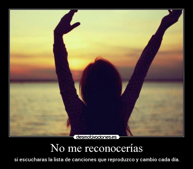 No me reconocerías -