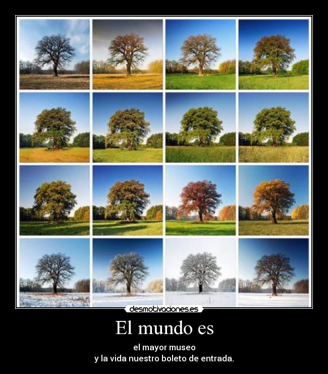 El mundo es - el mayor museo
y la vida nuestro boleto de entrada.