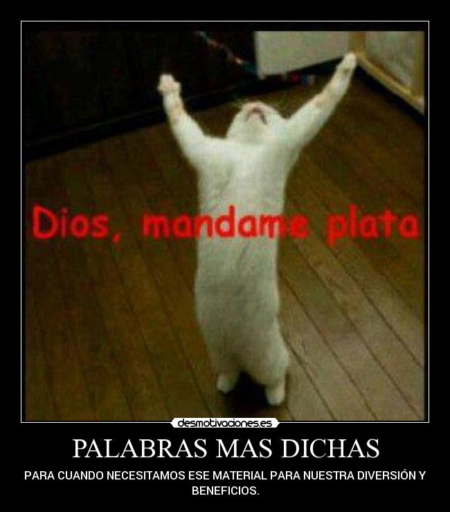PALABRAS MAS DICHAS -