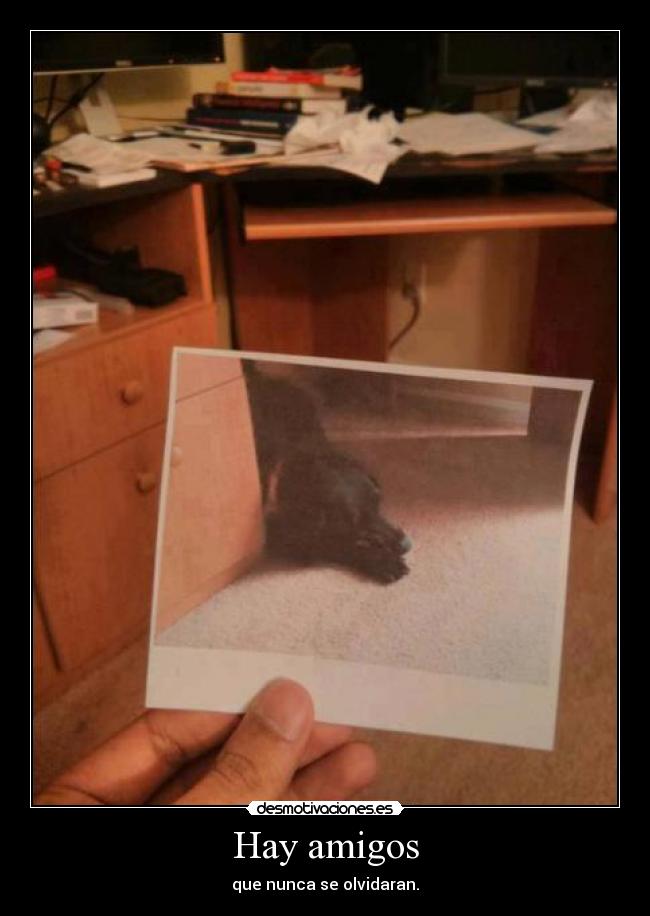 Hay amigos - que nunca se olvidaran.