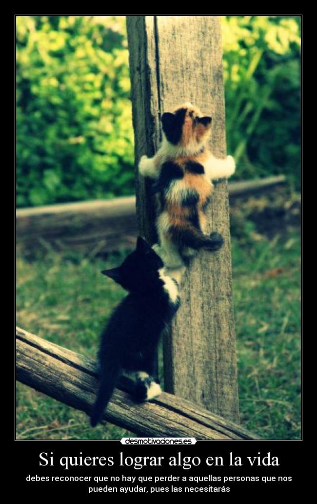 Si quieres lograr algo en la vida - debes reconocer que no hay que perder a aquellas personas que nos
pueden ayudar, pues las necesitarás