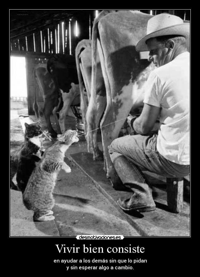 Vivir bien consiste - en ayudar a los demás sin que lo pidan
y sin esperar algo a cambio.