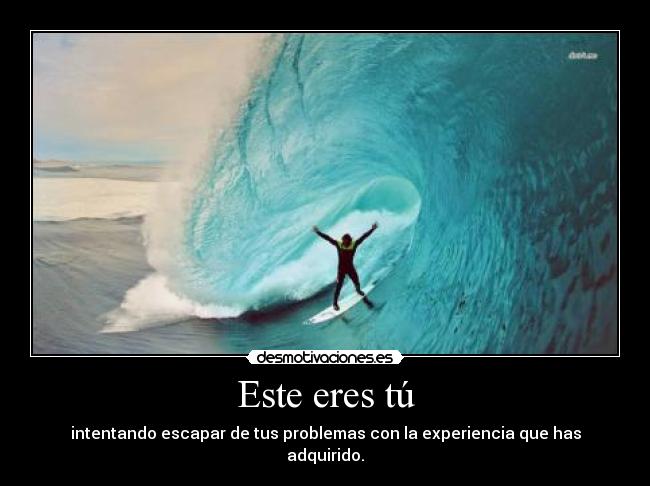 carteles xddddddddddddddddddd desmotivaciones